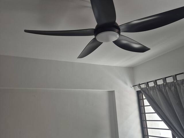 Fully furnished common bedroom