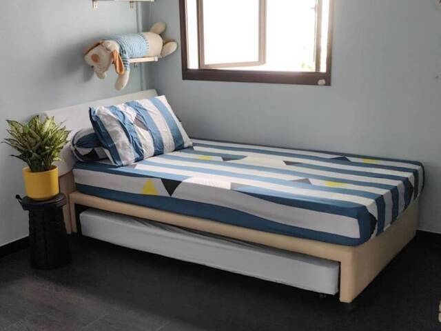 single room for rent