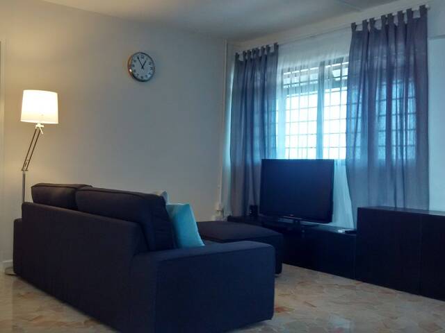 Little India/Rochor MRT HDB whole unit for rent