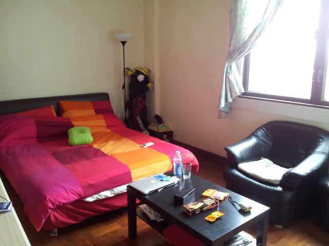 A Master Room at Parc Oasis Condo at Jurong East Ave 1, opp Chinese Garden MRT - NO Owner Stay