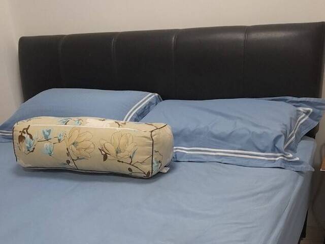 Blk 503 Bedok North St 3 Commo room for rent