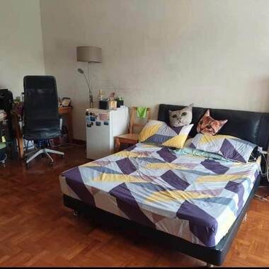 Spacious Landed House near NTU