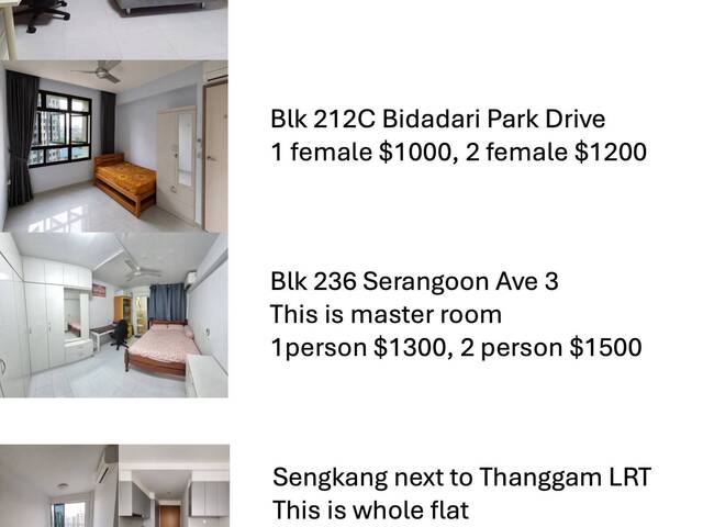 Rent North-East Area