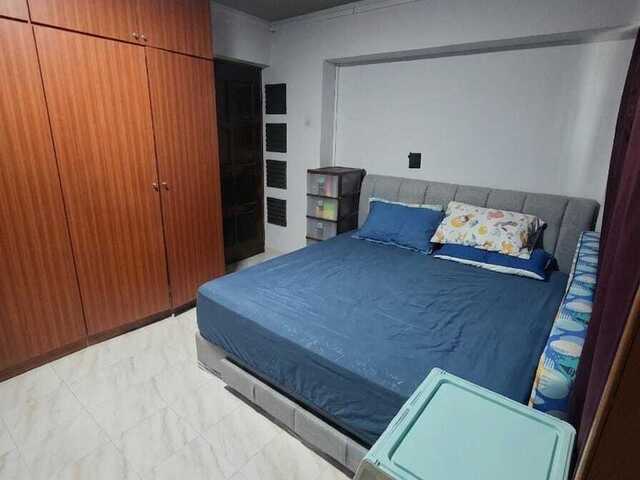 Female Master in a Spacious Flat (and a small room available)