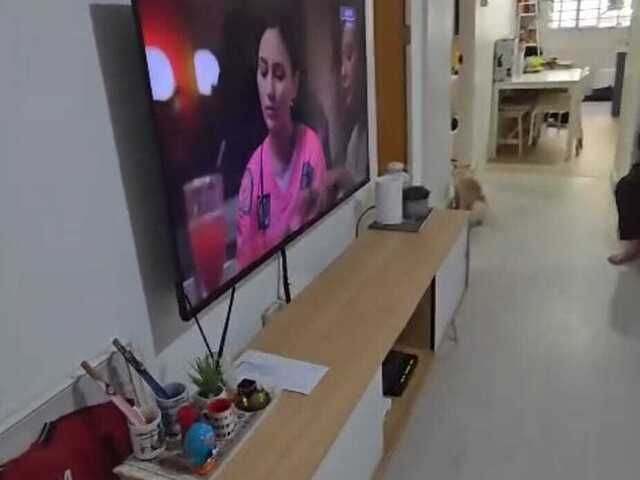 Common Room ( shared by Female Tenants) 2pax only