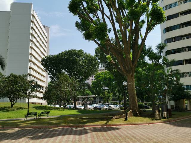 Room for rent / Jurong East / Common room / 1pax stay / Available 2 Sept