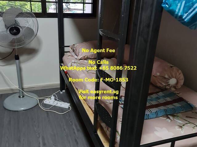 (Room Sharing) Pioneer MRT Common Room