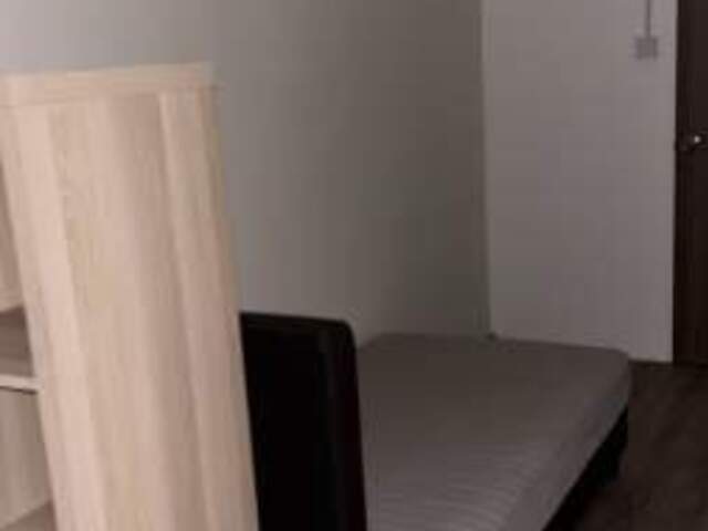 Room for rent / BALESTIER / NOVENA / Common room / 1pax stay / Available immediate