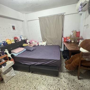 Common room for share (1 female)