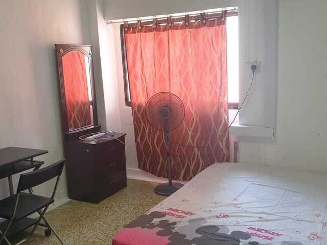 Holland Drive Female Single Room for Rent