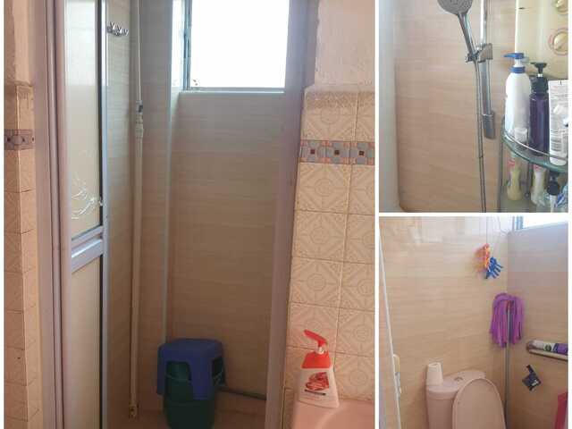 Holland Drive Female Single Room for Rent