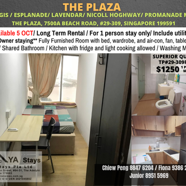 Room for rent / LAVENDER / Classic room / 1pax stay / Available 5 October