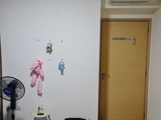 FULLY FURNISHED COMMON ROOM FOR RENT @ THE RAINFOREST