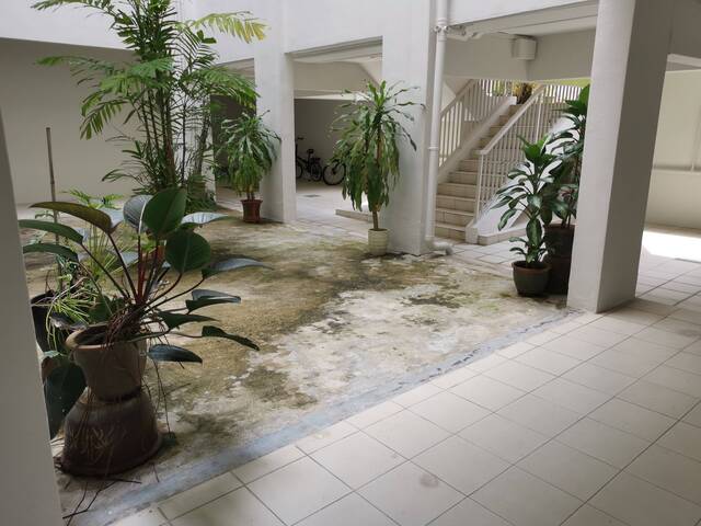 Room for rent / Braddell / Common room / 1pax stay / Available 23 Oct