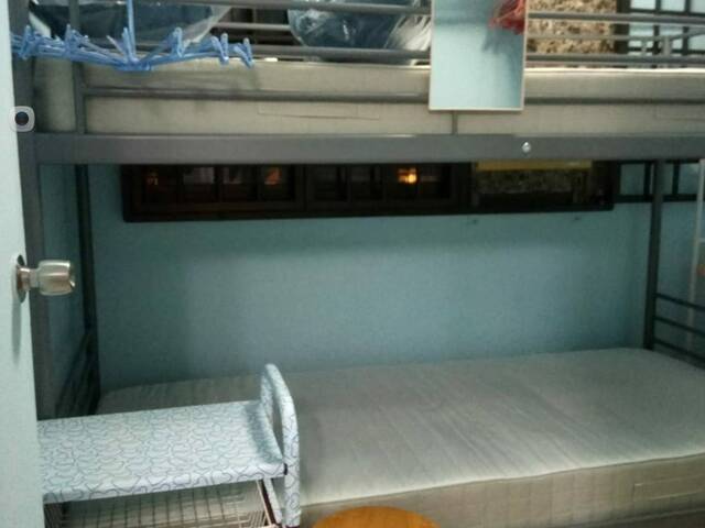 ●LADY BEDSPACES●@🟢🟡BUONA VISTA MRT(near A*STAR, NUS, SIM, NUH, SP, ESSEC, MDIS, BIOPOLIS@1North