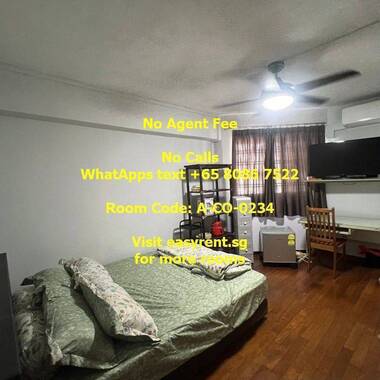 Lakeside MRT Master Room