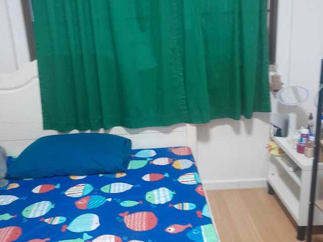 Common Room @ Bishan St 24 BLK 289!Single female owner!