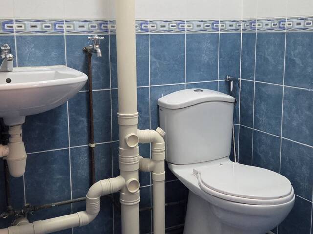 Female-Only Master Room w Ensuite, 2 Mins to Mayflower MRT