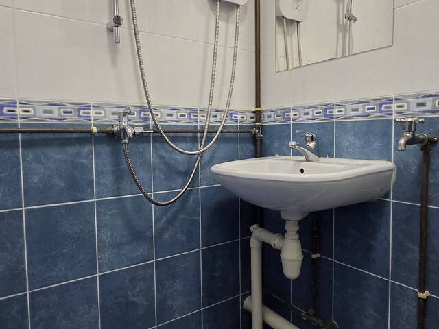 Female-Only Master Room w Ensuite, 2 Mins to Mayflower MRT