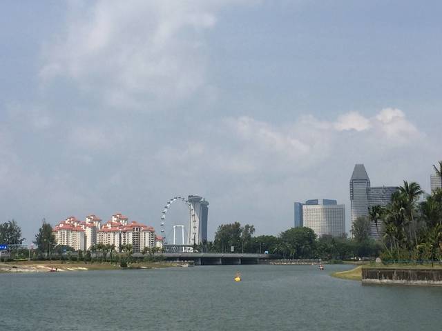 The Riverine By The Park (D12), 3 BR Apartment+Balcony (1206 sq ft) - For Rent