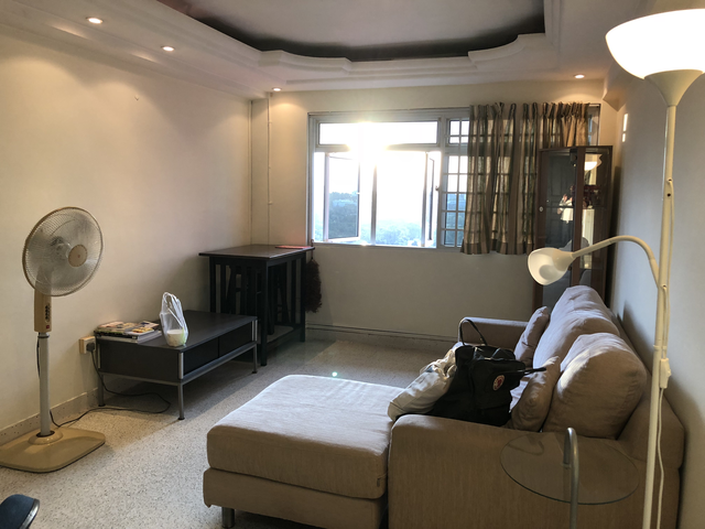 Chinese Female Roommate to share Master bedroom - Clean & Tidy