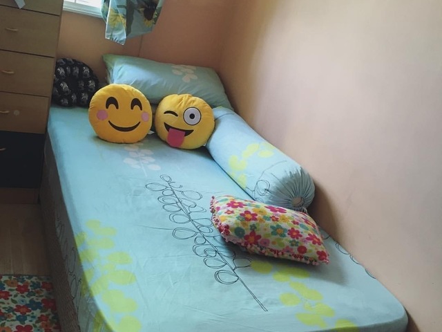 ROOM FOR RENT (female) BISHAN