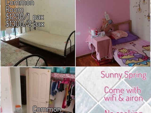Sunny spring condo 2 x common room for rent Bed wifi aircon 1 pax $1200 2 pax $1300 Viewing what