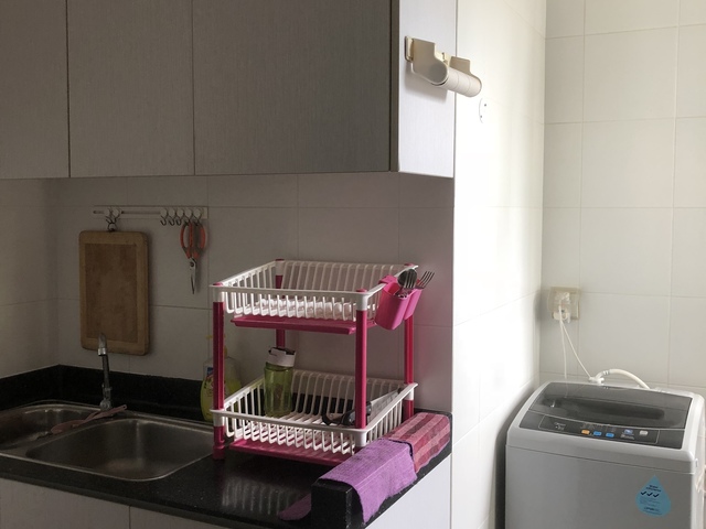 THE PEAK @ TOA PAYOH ( walkable to MRT)