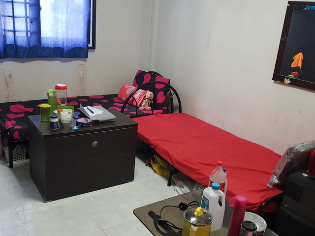 Female for room sharing