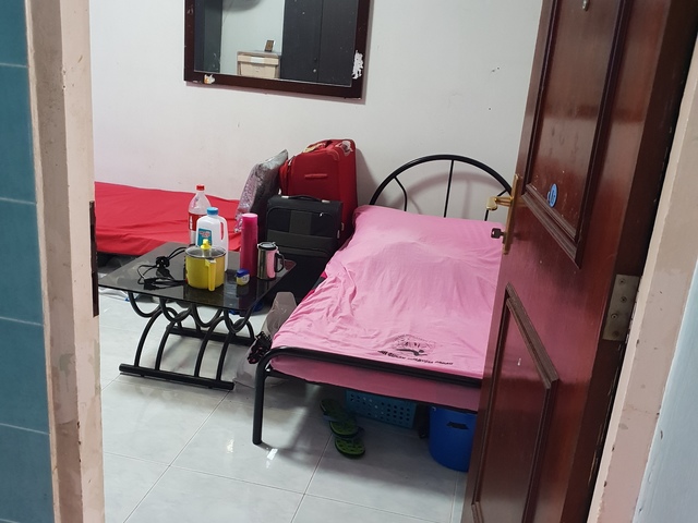 Female for room sharing