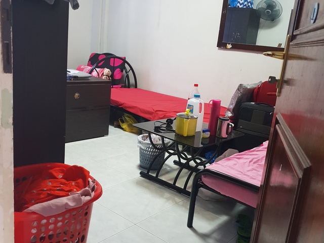 Female for room sharing