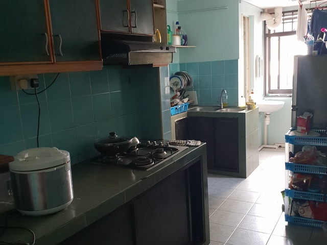 Female for room sharing