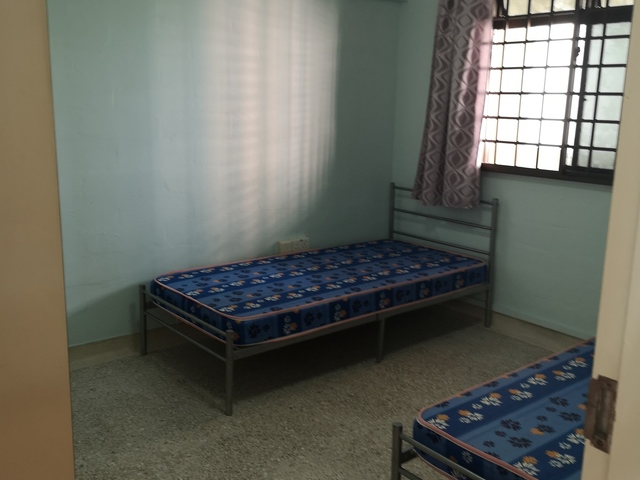 1 Female for Shared Common Room